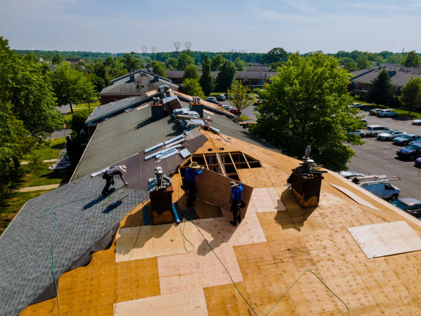 Trusted Roof Replacement service in Williston, FL - Brentwood Metal Roofing